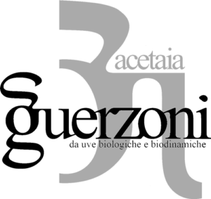 acetaia-guerzoni-logo