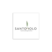 logo-santoiolo